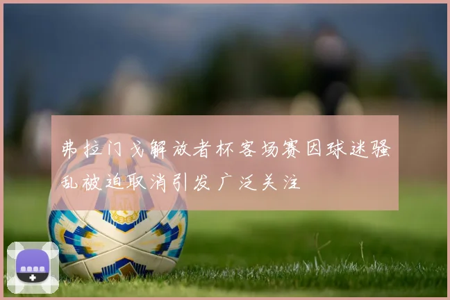 弗拉门戈解放者杯客场赛因球迷骚乱被迫取消引发广泛关注