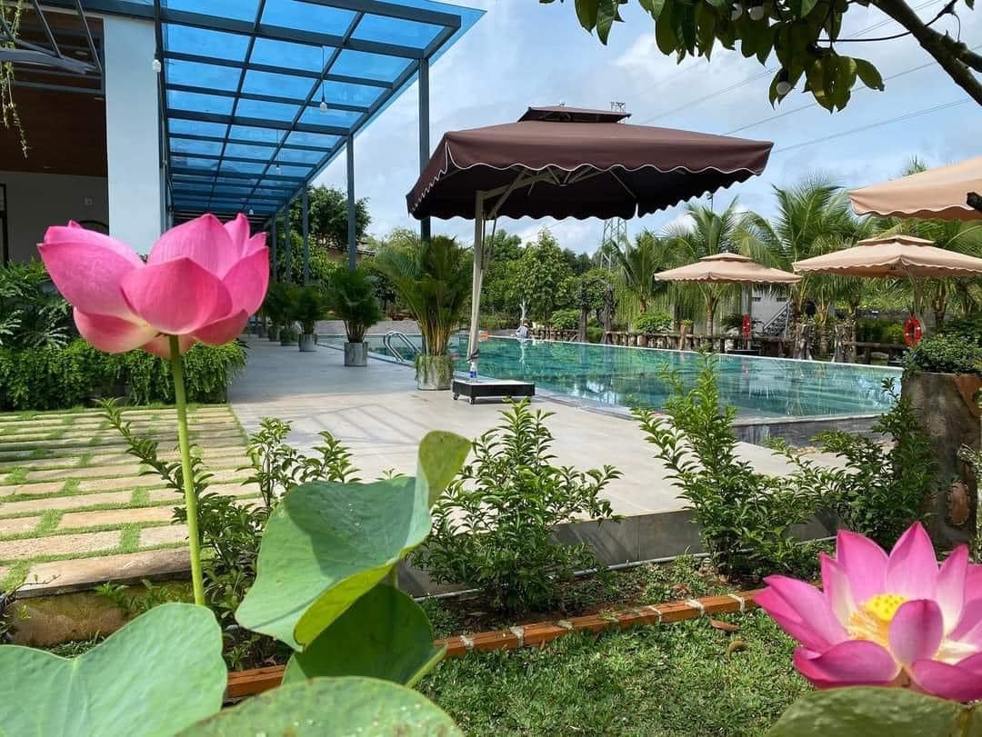 thiet-ke-thi-cong-cafe-san-vuon-tai-long-khanh-bt25ha-1