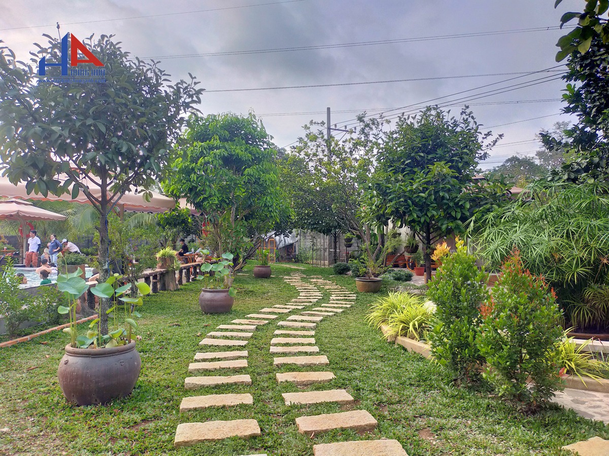 thiet-ke-thi-cong-cafe-san-vuon-tai-long-khanh-bt25ha-3