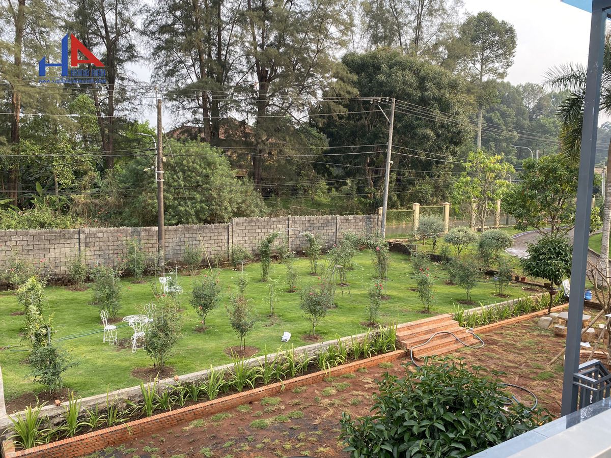 thiet-ke-thi-cong-cafe-san-vuon-tai-long-khanh-bt25ha-4